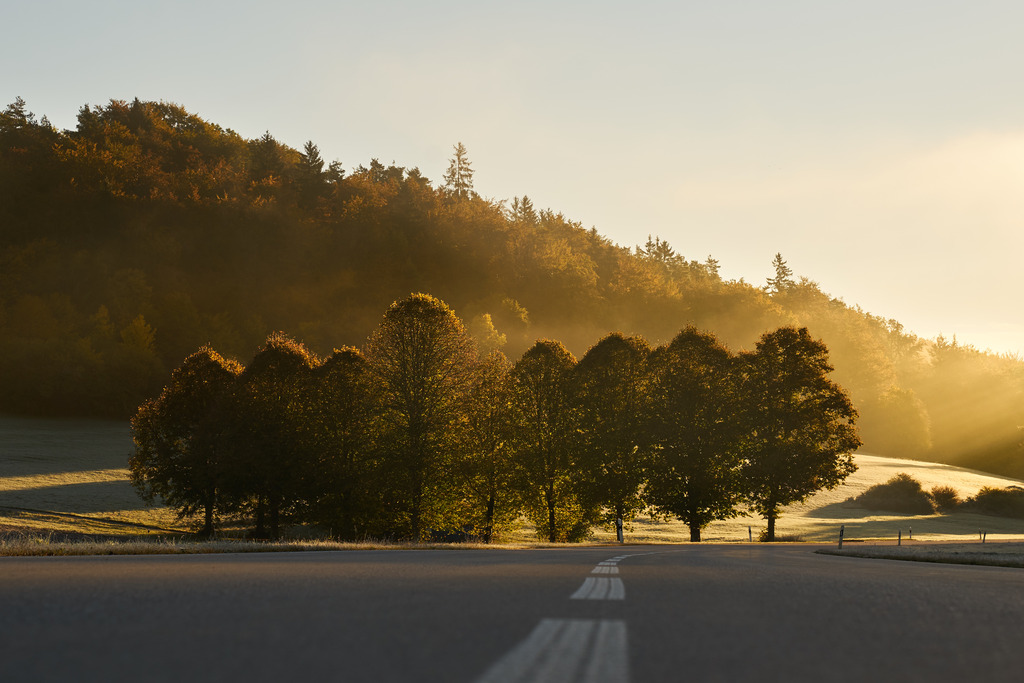 Morgensonne